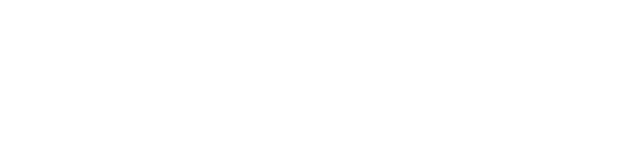 Evelastech